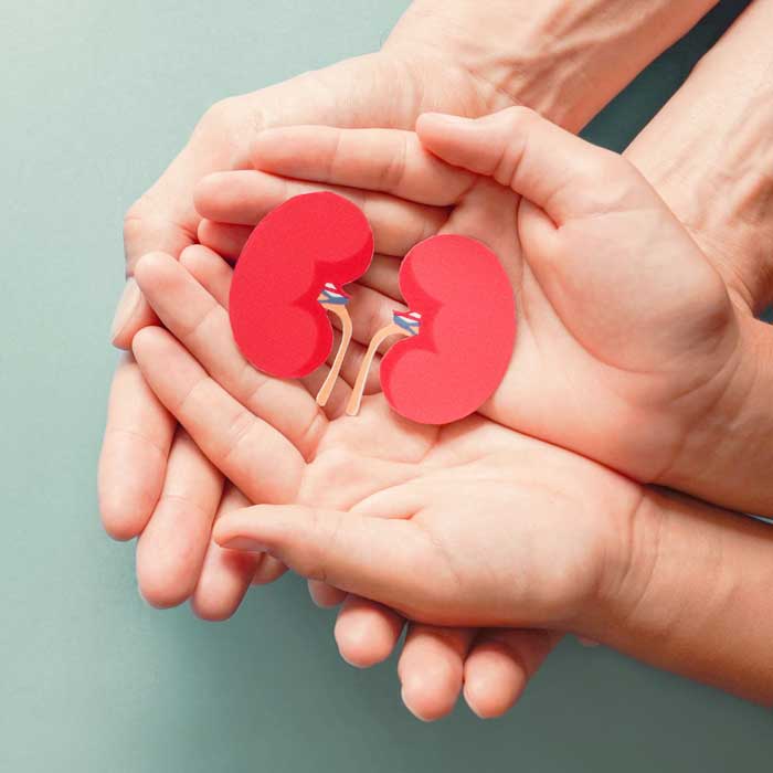 Glomerular-&-Vascular-Diseases